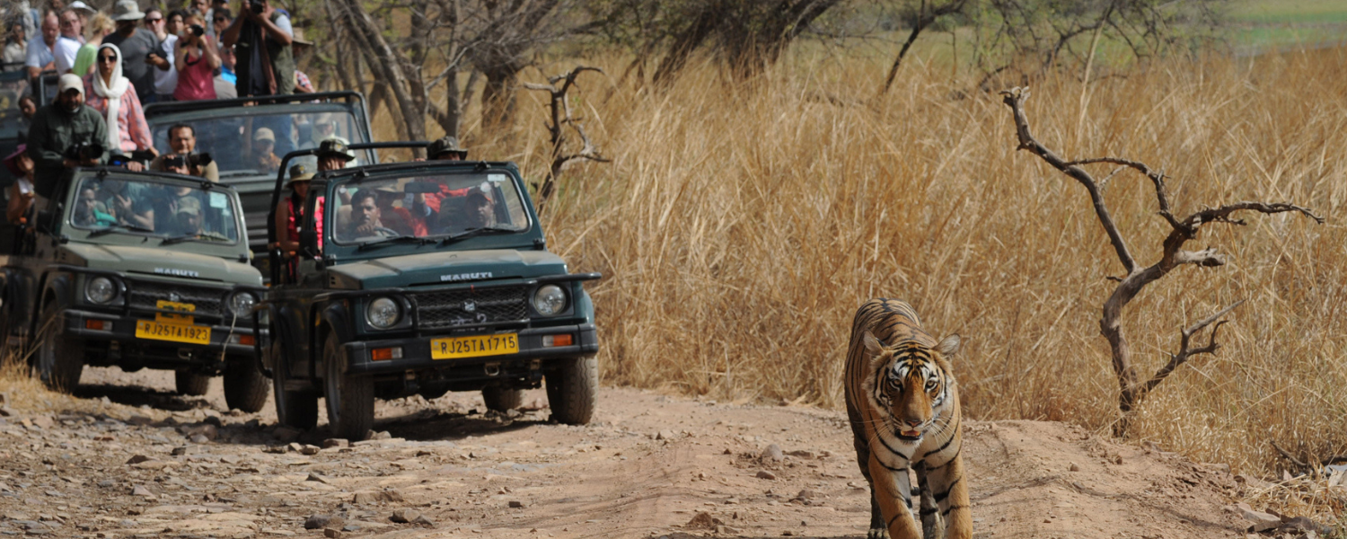 Taj Mahal Tour Image